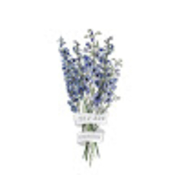 Meet your Posher, Lydia - Picture 1 of 1